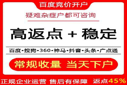 某电商平台的sem竞价推广托管经验